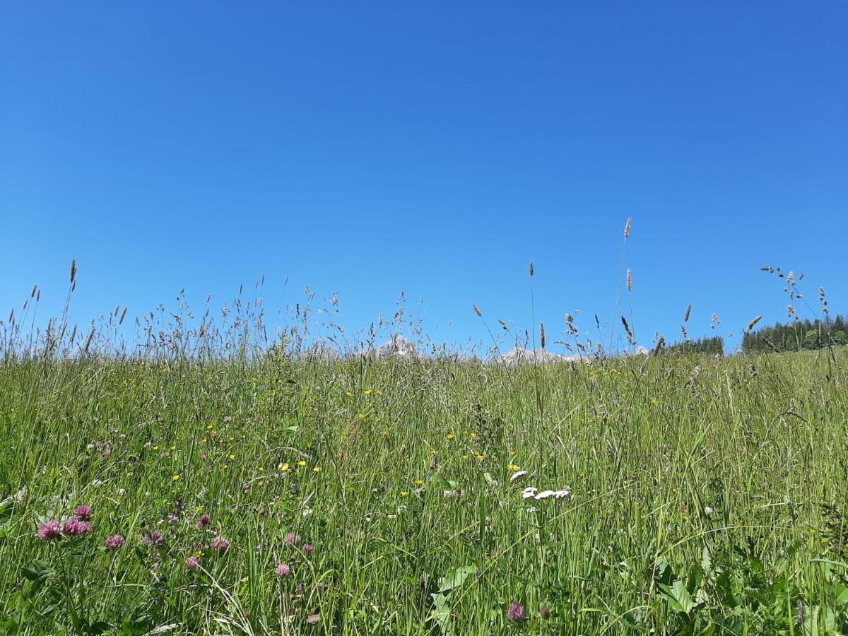Bio-Bauernhof Hatzbauer Maria Alm am Steinernen Meer Zewnętrze zdjęcie