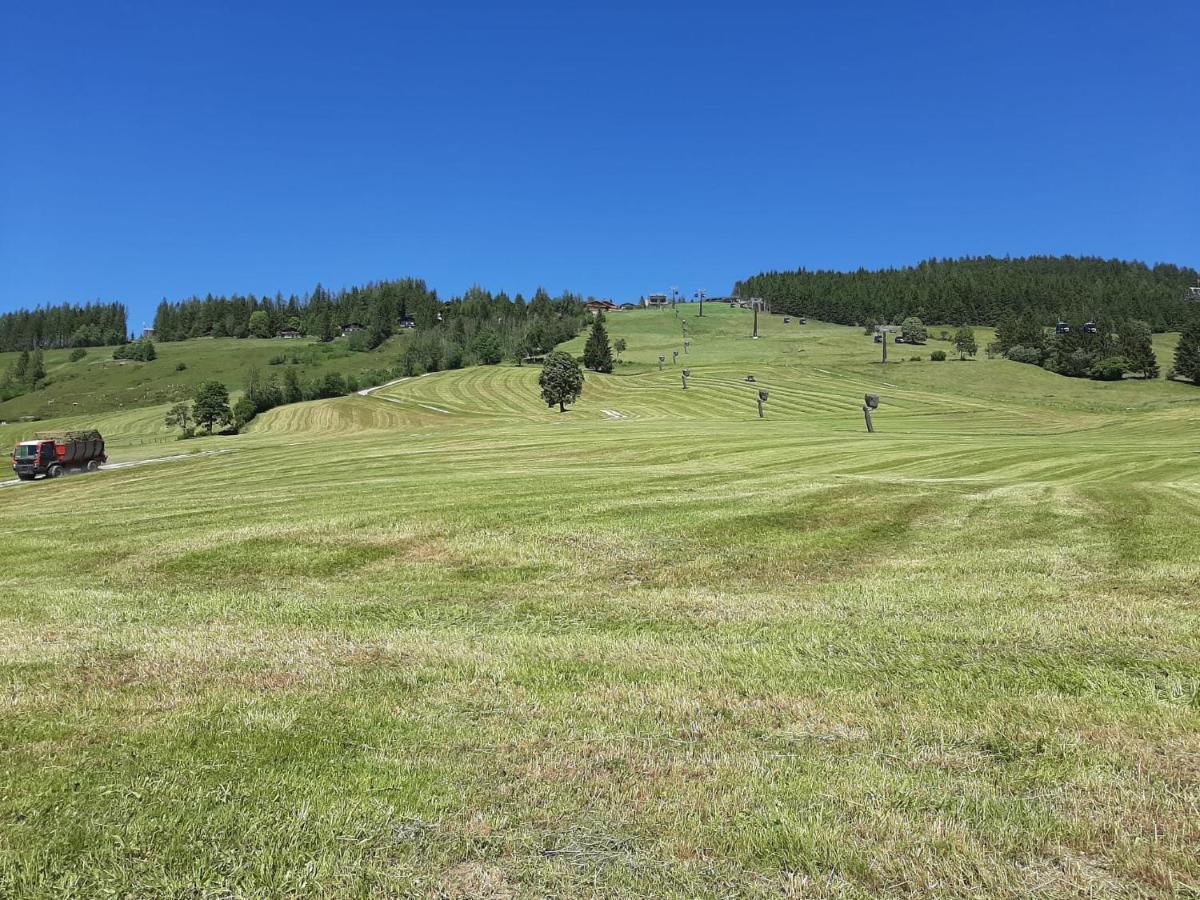 Bio-Bauernhof Hatzbauer Maria Alm am Steinernen Meer Zewnętrze zdjęcie