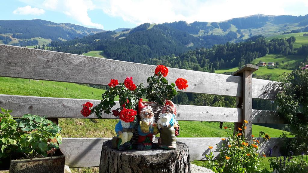 Bio-Bauernhof Hatzbauer Maria Alm am Steinernen Meer Zewnętrze zdjęcie