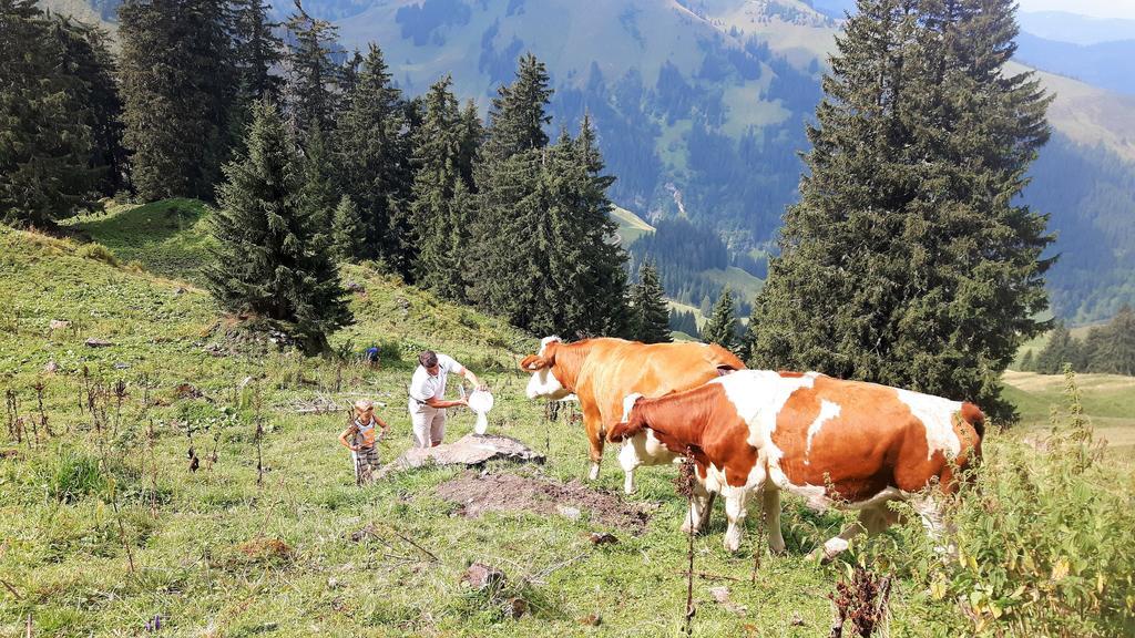 Bio-Bauernhof Hatzbauer Maria Alm am Steinernen Meer Zewnętrze zdjęcie