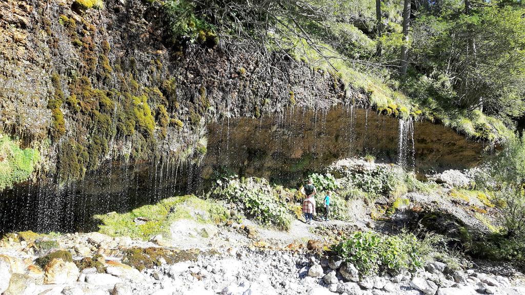 Bio-Bauernhof Hatzbauer Maria Alm am Steinernen Meer Zewnętrze zdjęcie
