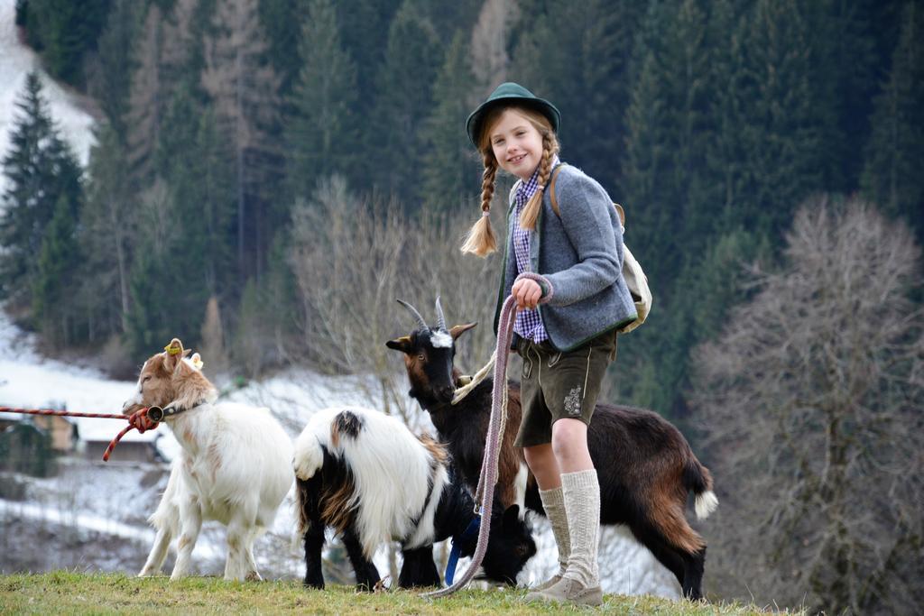 Bio-Bauernhof Hatzbauer Maria Alm am Steinernen Meer Zewnętrze zdjęcie