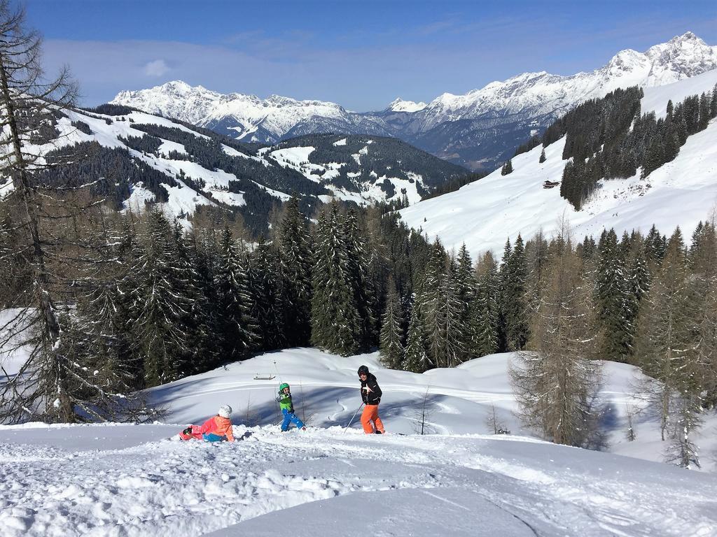 Bio-Bauernhof Hatzbauer Maria Alm am Steinernen Meer Zewnętrze zdjęcie