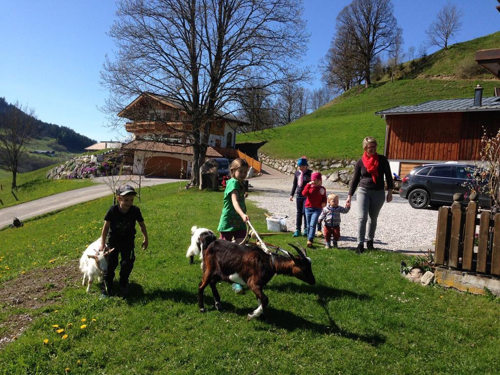 Bio-Bauernhof Hatzbauer Maria Alm am Steinernen Meer Zewnętrze zdjęcie
