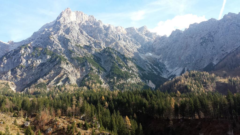 Bio-Bauernhof Hatzbauer Maria Alm am Steinernen Meer Zewnętrze zdjęcie